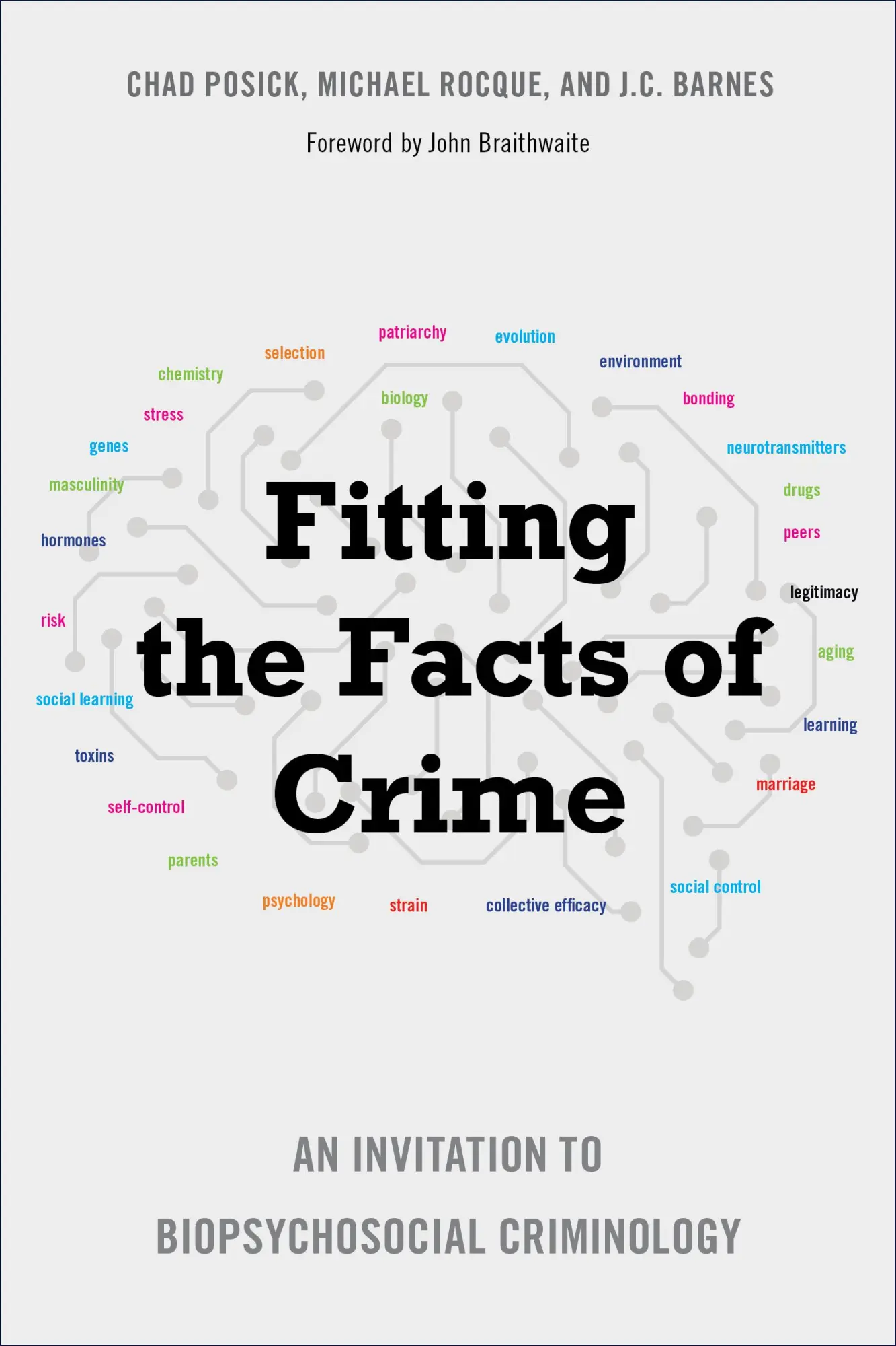 Cover: 9781439919811 | Fitting the Facts of Crime | Chad Posick | Taschenbuch | Englisch