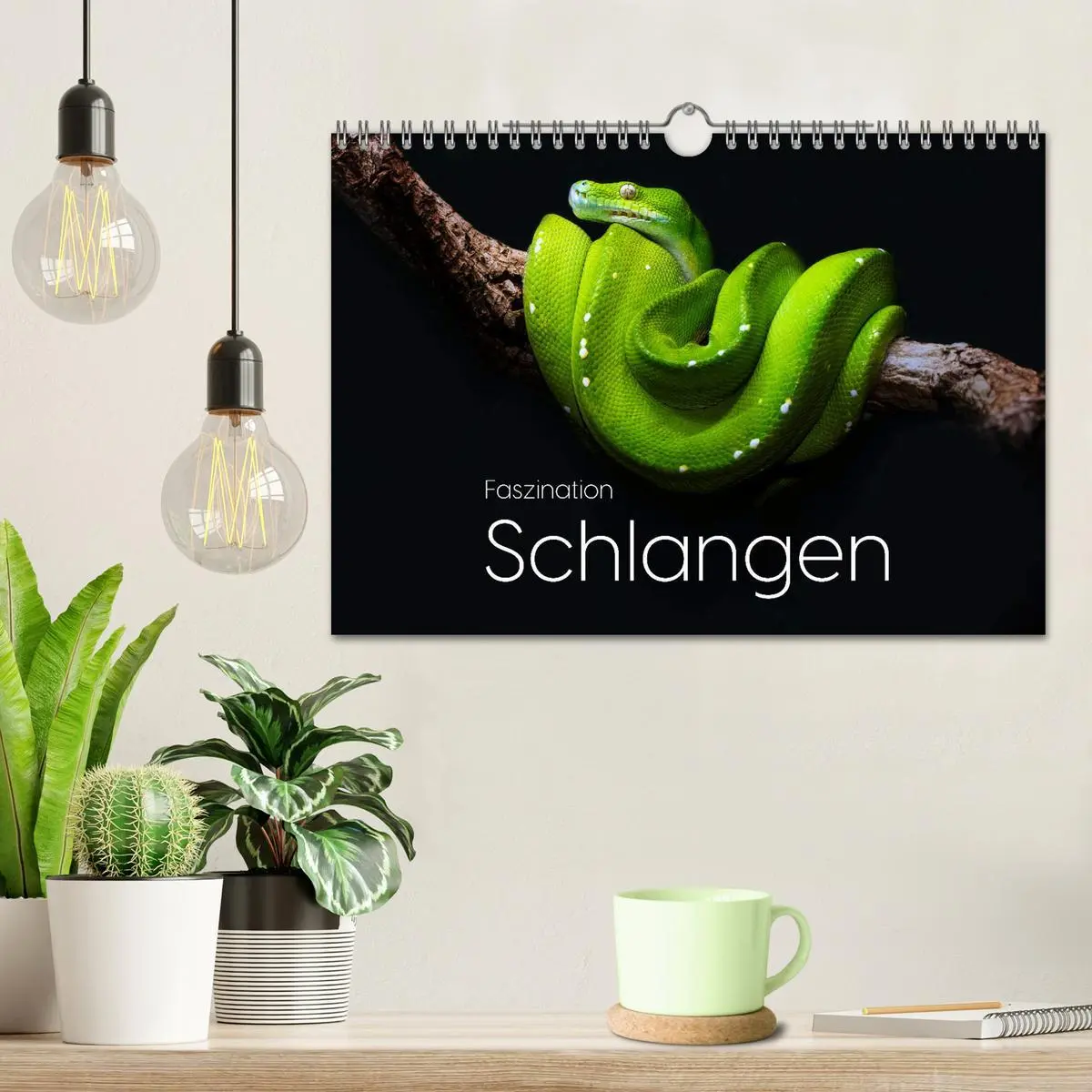 Bild: 9783457539811 | Faszination Schlangen (Wandkalender 2026 DIN A4 quer), CALVENDO...