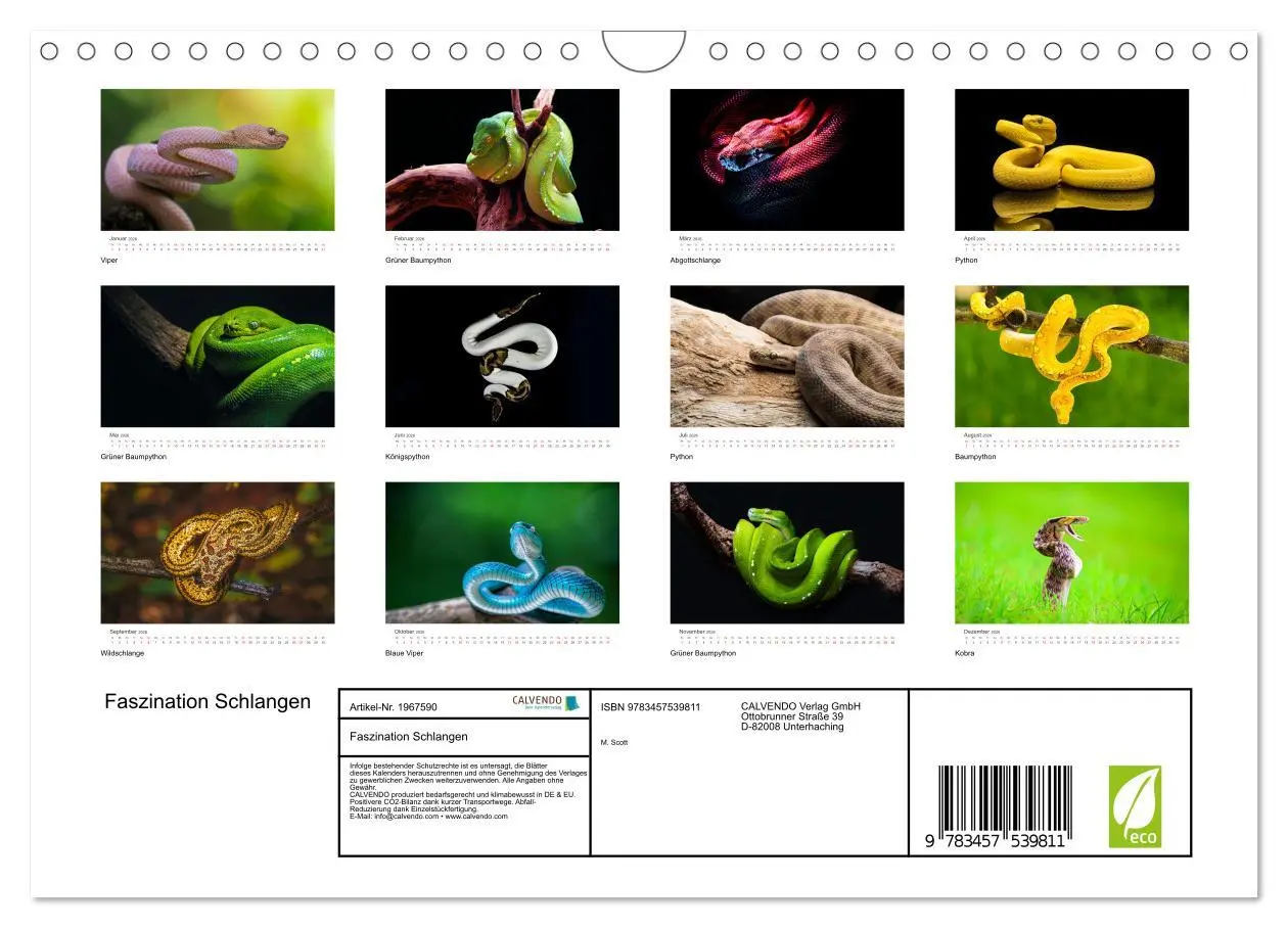 Bild: 9783457539811 | Faszination Schlangen (Wandkalender 2026 DIN A4 quer), CALVENDO...