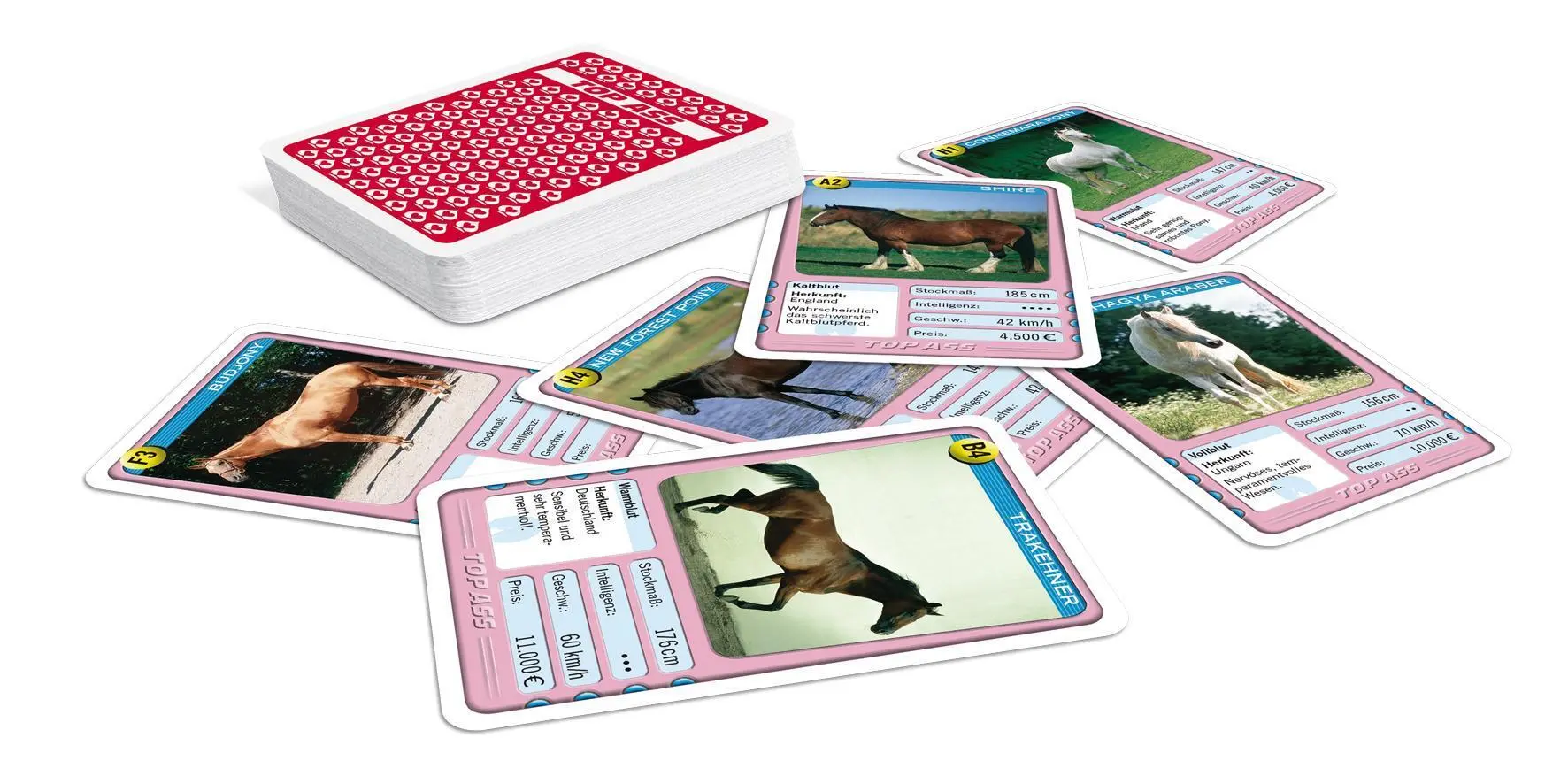 Bild: 4042677719911 | TOP ASS - Pferde | Spielkartenfabrik Altenburg GmbH | Spiel | 22571991