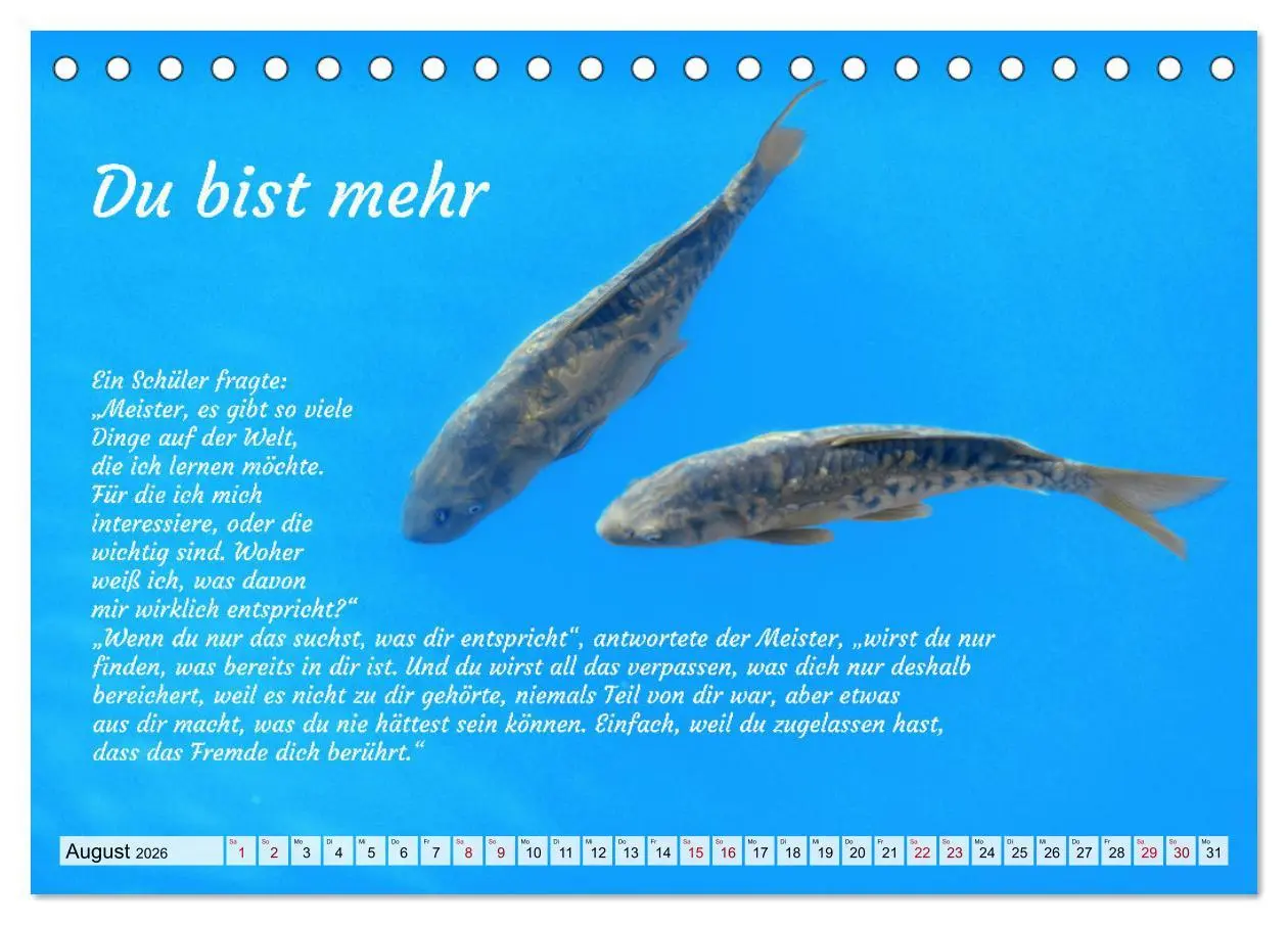 Bild: 9783457529911 | Und der Zen-Meister sprach (Tischkalender 2026 DIN A5 quer),...