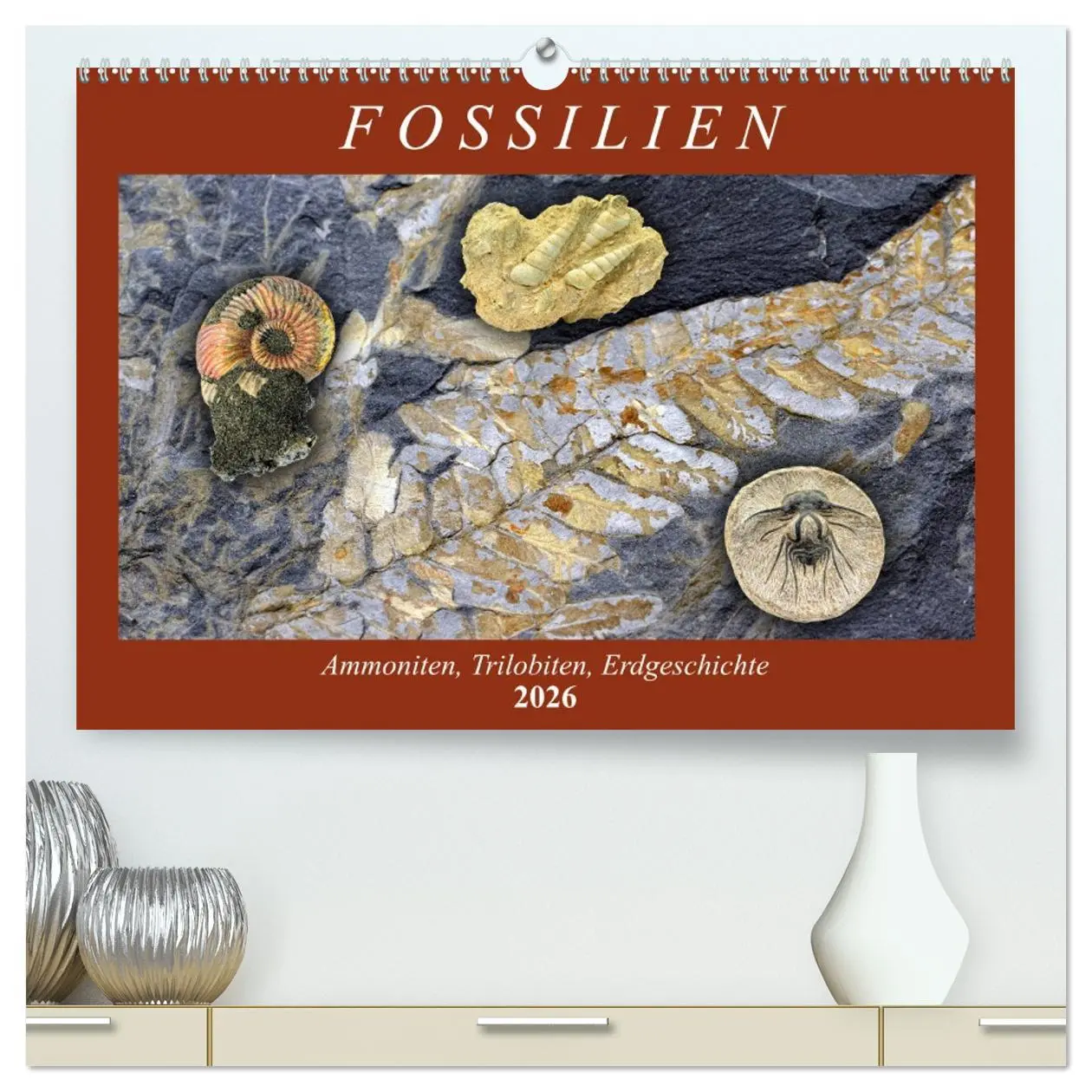 Cover: 9783457699911 | Fossilien - Ammoniten, Trilobiten, Erdgeschichte (hochwertiger...