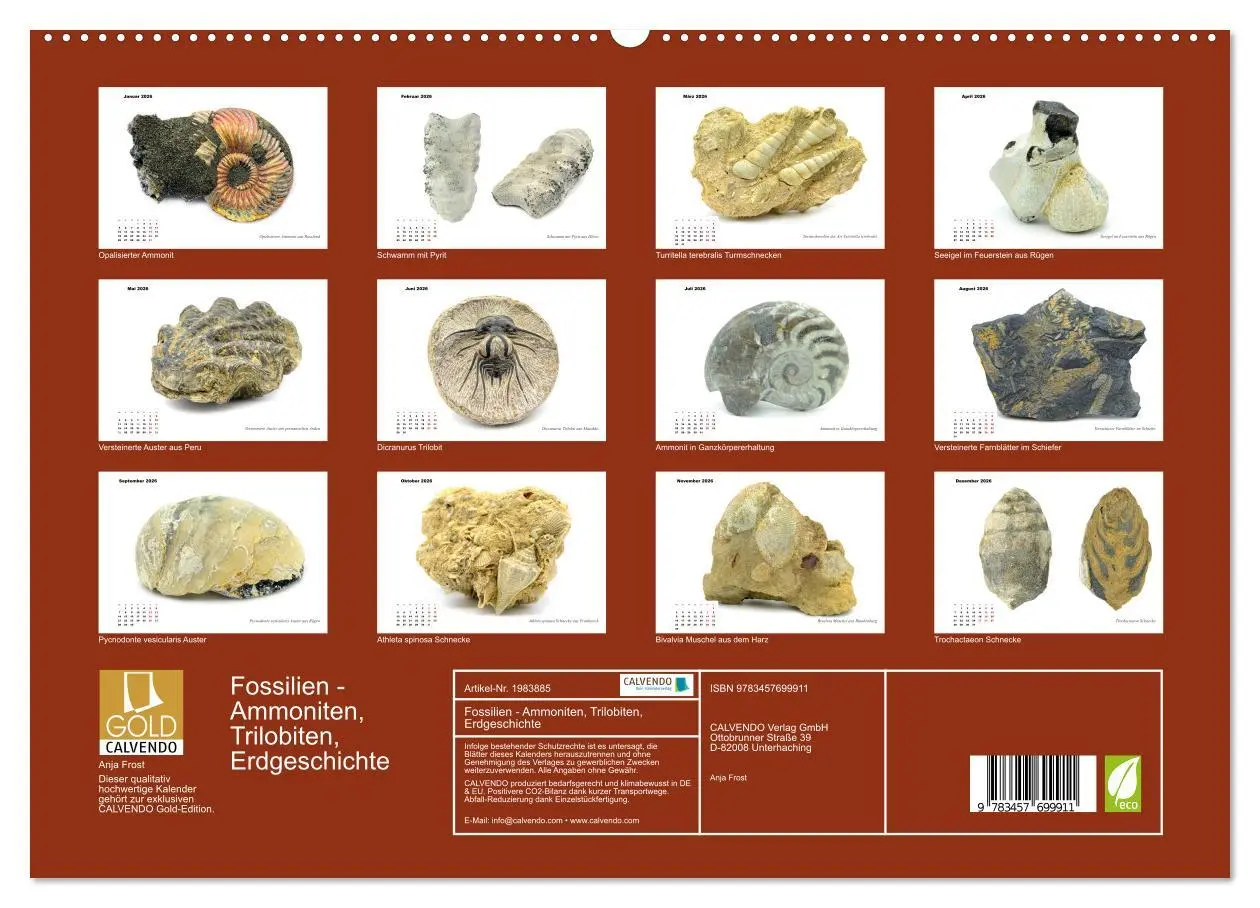 Bild: 9783457699911 | Fossilien - Ammoniten, Trilobiten, Erdgeschichte (hochwertiger...