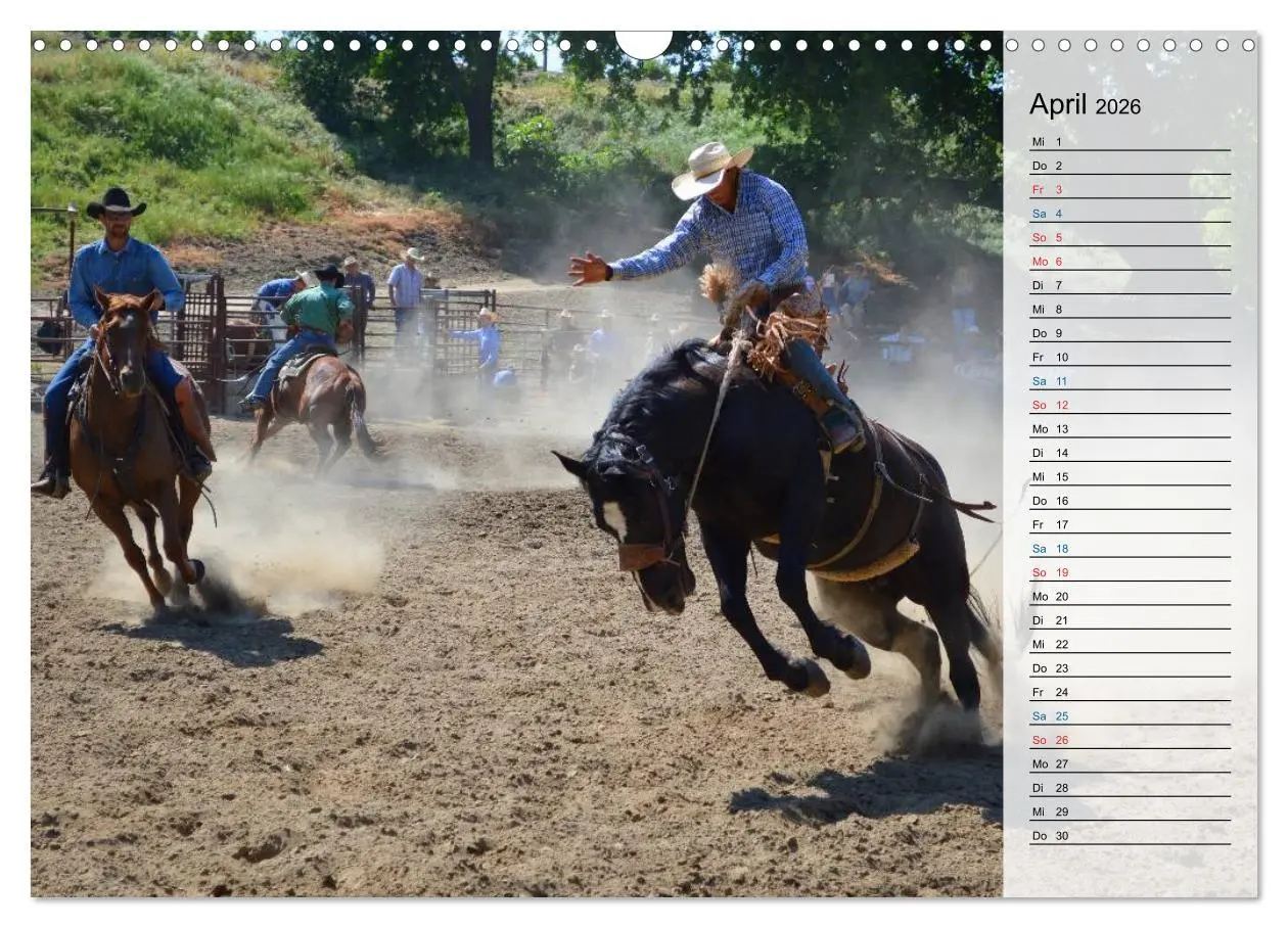 Bild: 9783457909911 | Faszination Rodeo (Wandkalender 2026 DIN A3 quer), CALVENDO...