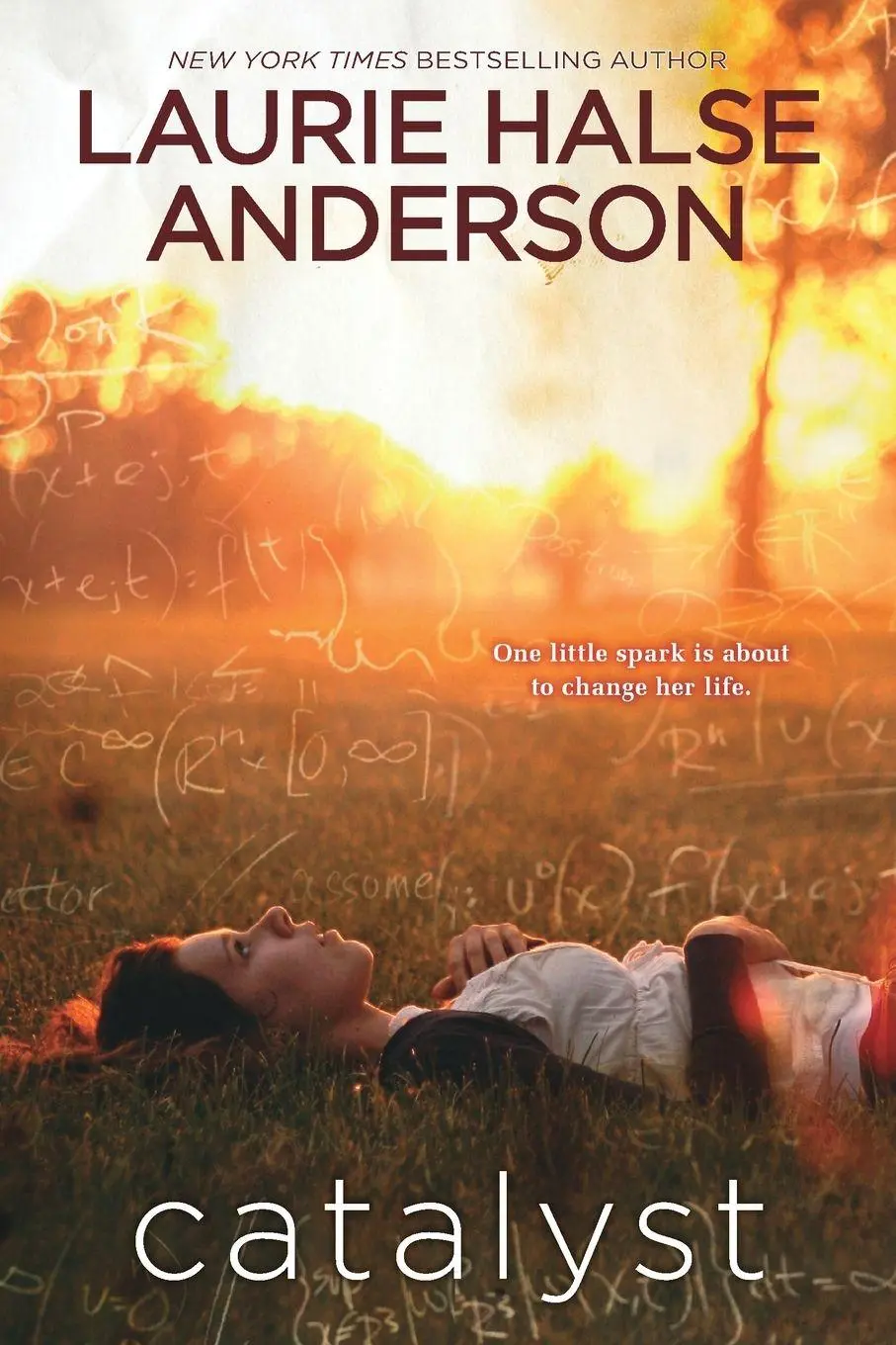 Cover: 9780142400012 | Catalyst | Laurie Halse Anderson | Taschenbuch | Englisch | 2003
