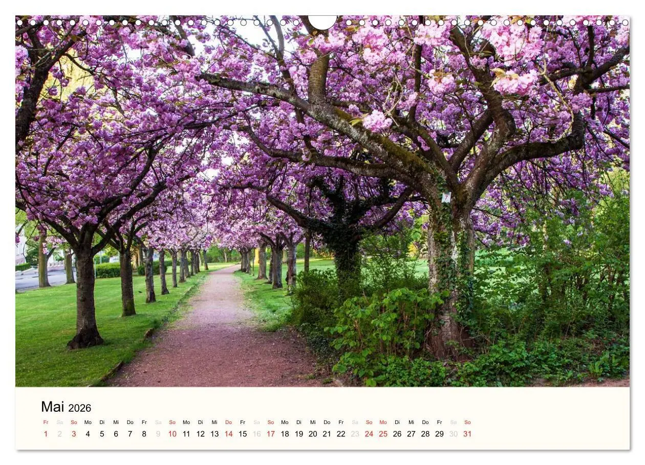 Bild: 9783516040012 | Völklingen. Im Schatten des Weltkulturerbes (Wandkalender 2026 DIN...