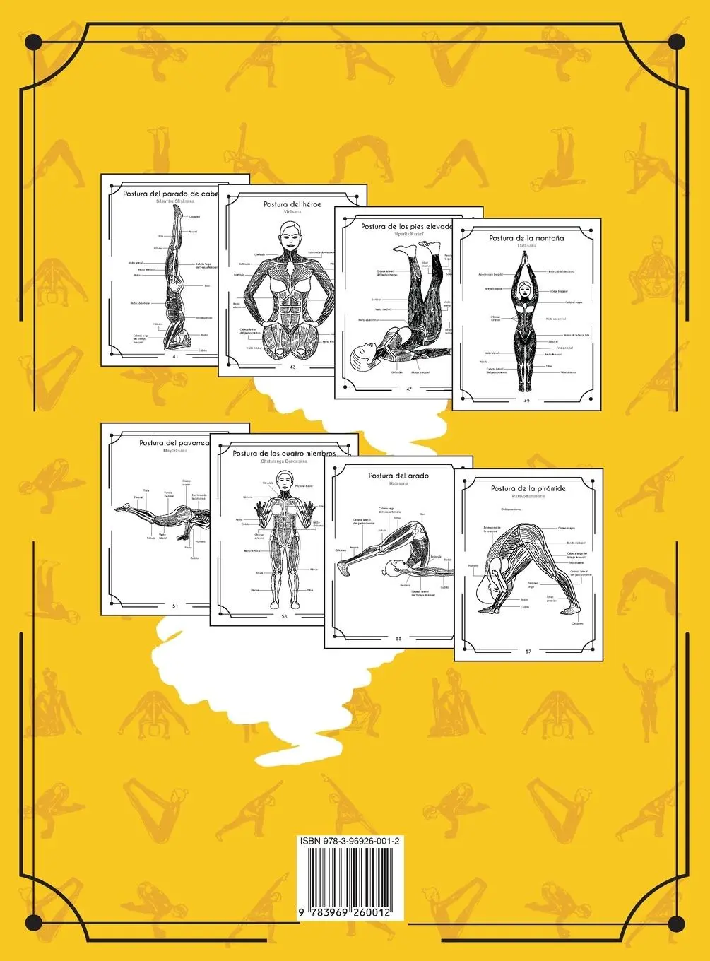 Rückseite: 9783969260012 | Anatomía Del Yoga Libro Para Colorear | Elizabeth J. Rochester | Buch