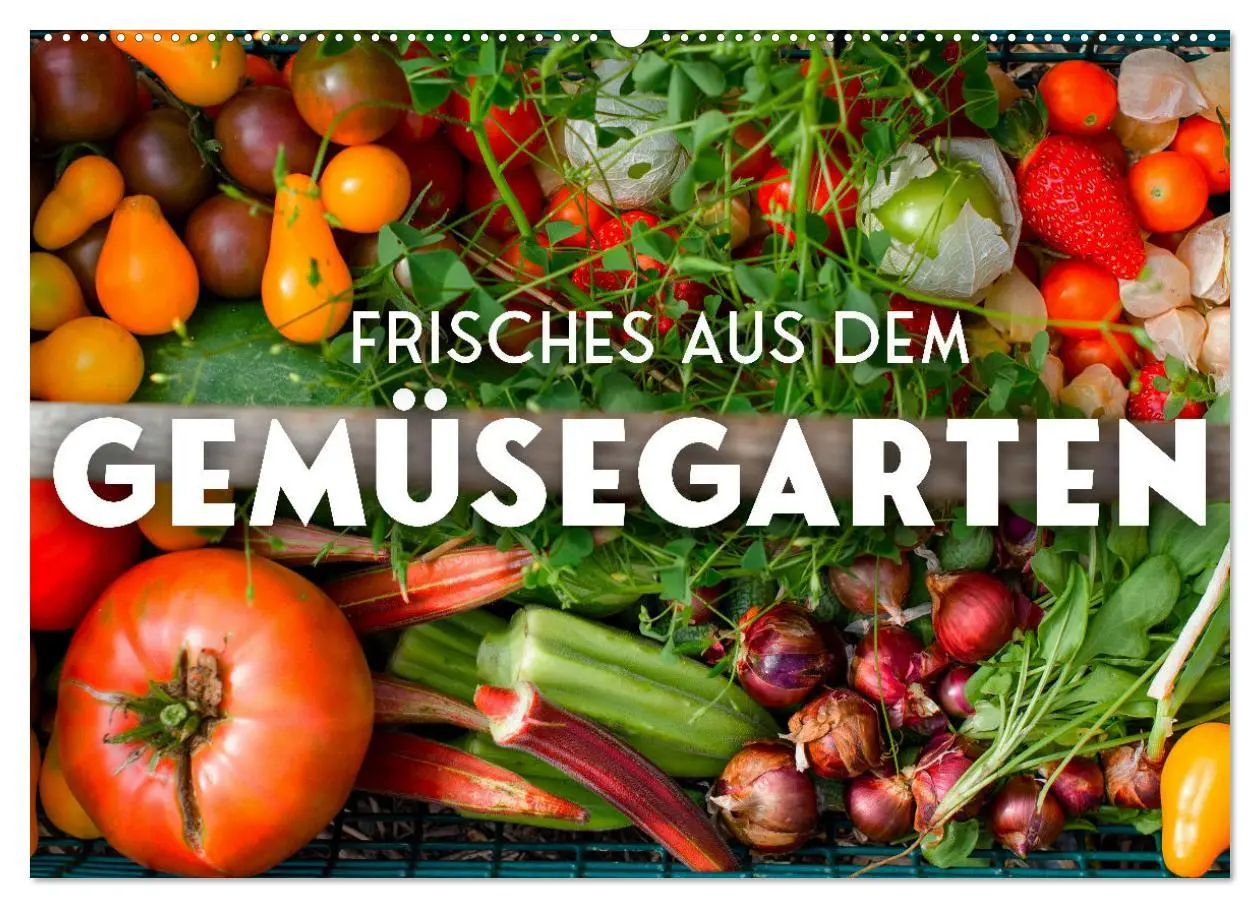 Cover: 9783457560112 | Frisches aus dem Gemüsegarten (Wandkalender 2026 DIN A2 quer),...