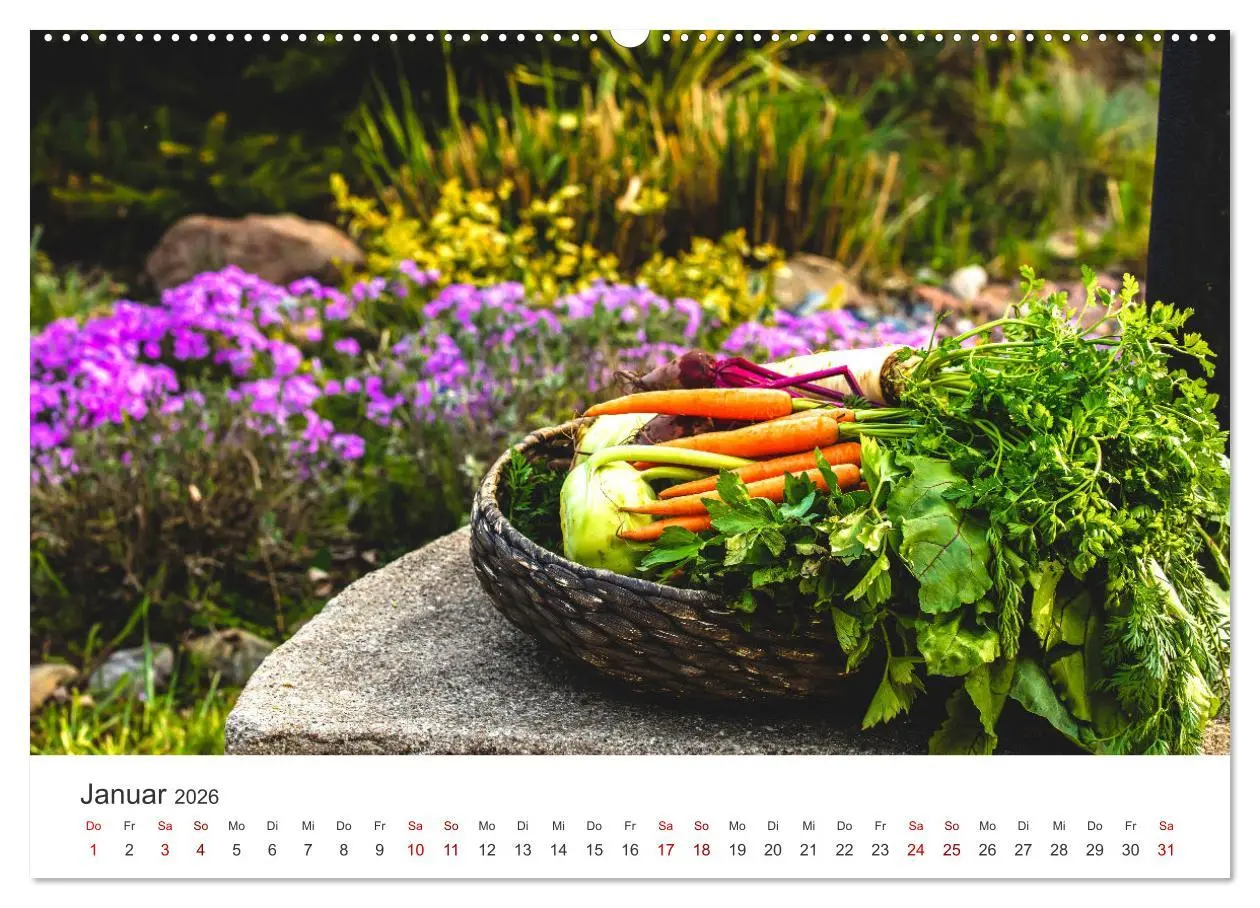 Bild: 9783457560112 | Frisches aus dem Gemüsegarten (Wandkalender 2026 DIN A2 quer),...
