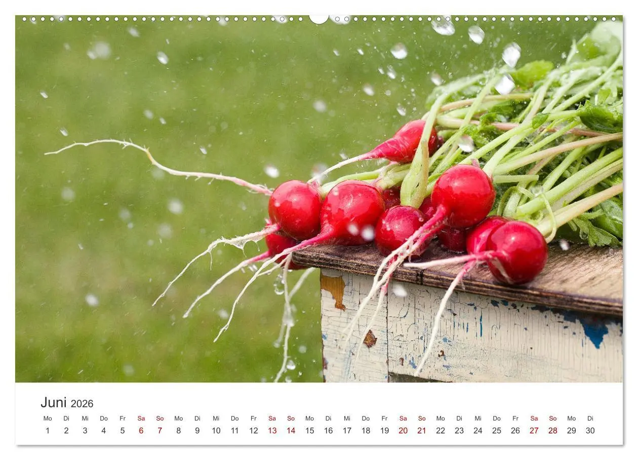 Bild: 9783457560112 | Frisches aus dem Gemüsegarten (Wandkalender 2026 DIN A2 quer),...