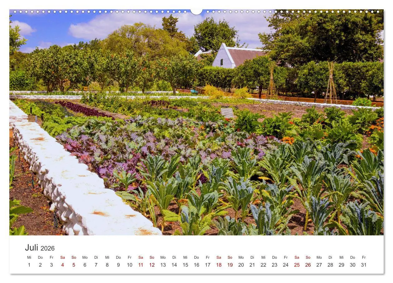 Bild: 9783457560112 | Frisches aus dem Gemüsegarten (Wandkalender 2026 DIN A2 quer),...