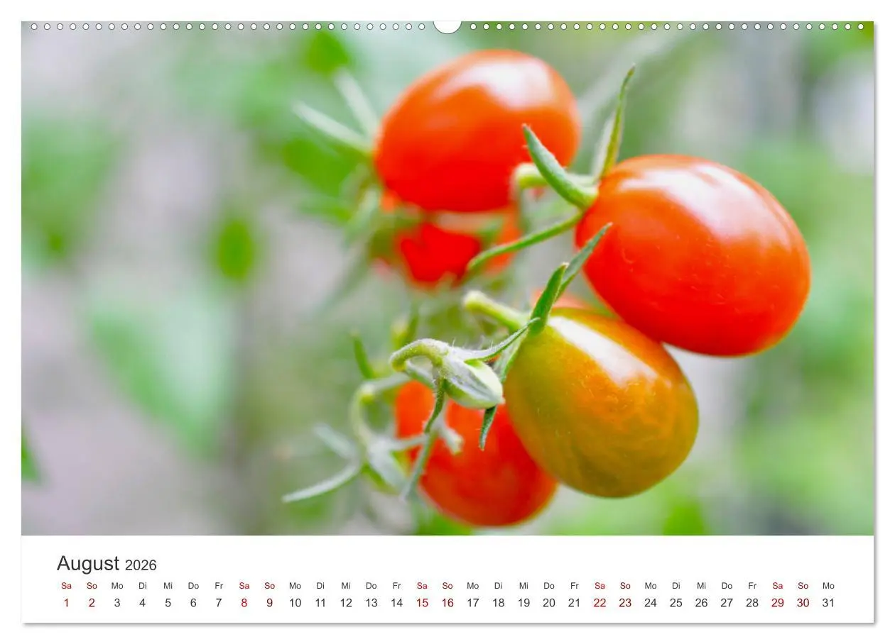 Bild: 9783457560112 | Frisches aus dem Gemüsegarten (Wandkalender 2026 DIN A2 quer),...