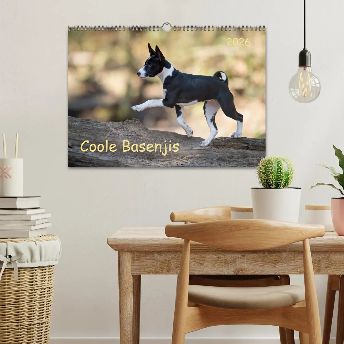Bild: 9783457620212 | Coole Basenjis (Wandkalender 2026 DIN A3 quer), CALVENDO...