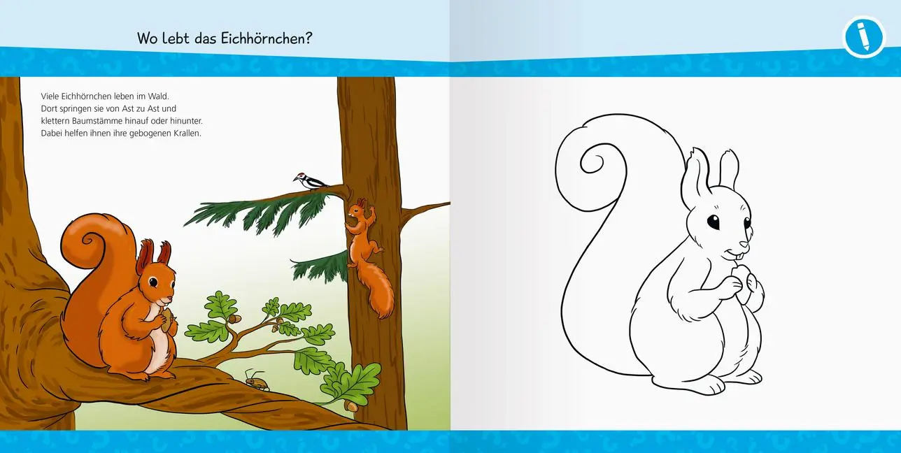 Bild: 9783473600212 | Wieso? Weshalb? Warum? junior AKTIV: Unsere Natur | Katja Rau | Buch