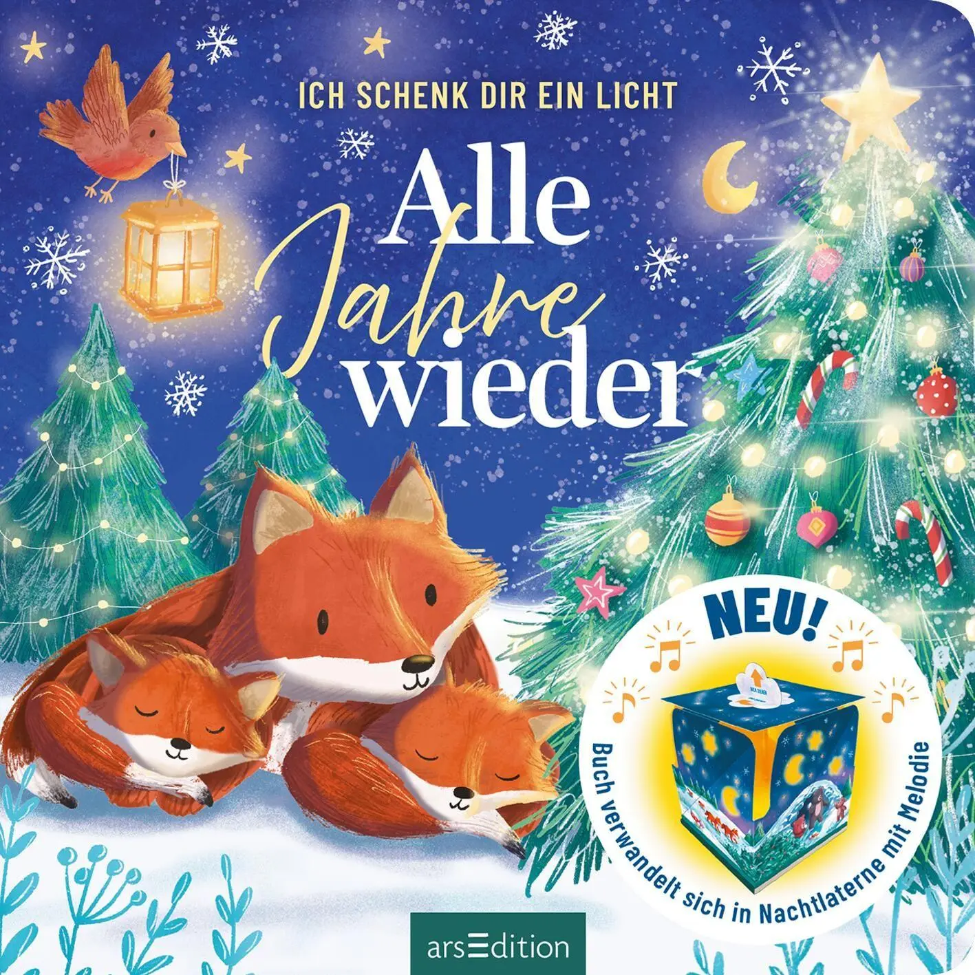 Bild: 9783845870212 | Ich schenk dir ein Licht! Alle Jahre wieder | Cornelia Boese | Buch