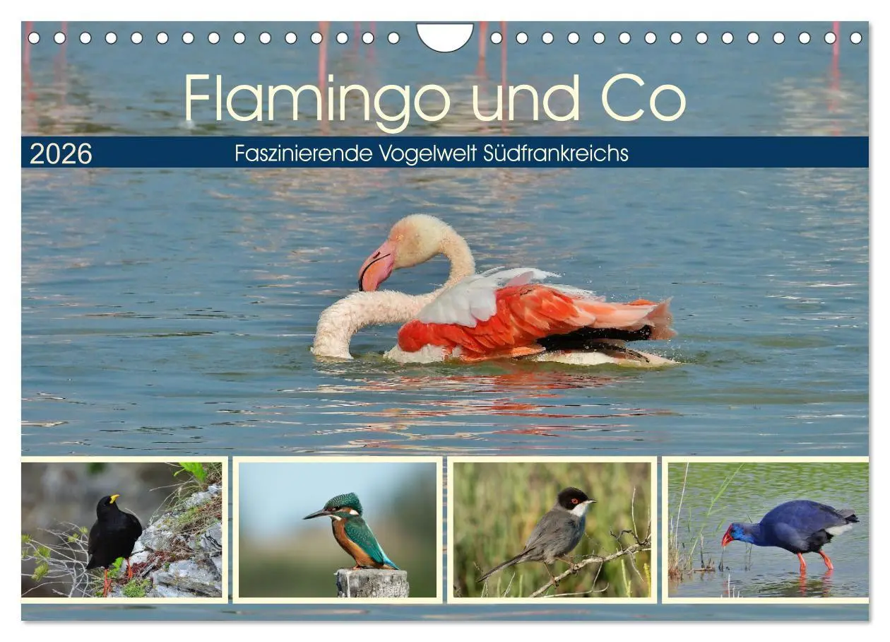 Cover: 9783457780312 | Flamingo und Co - Faszinierende Vogelwelt Südfrankreichs...