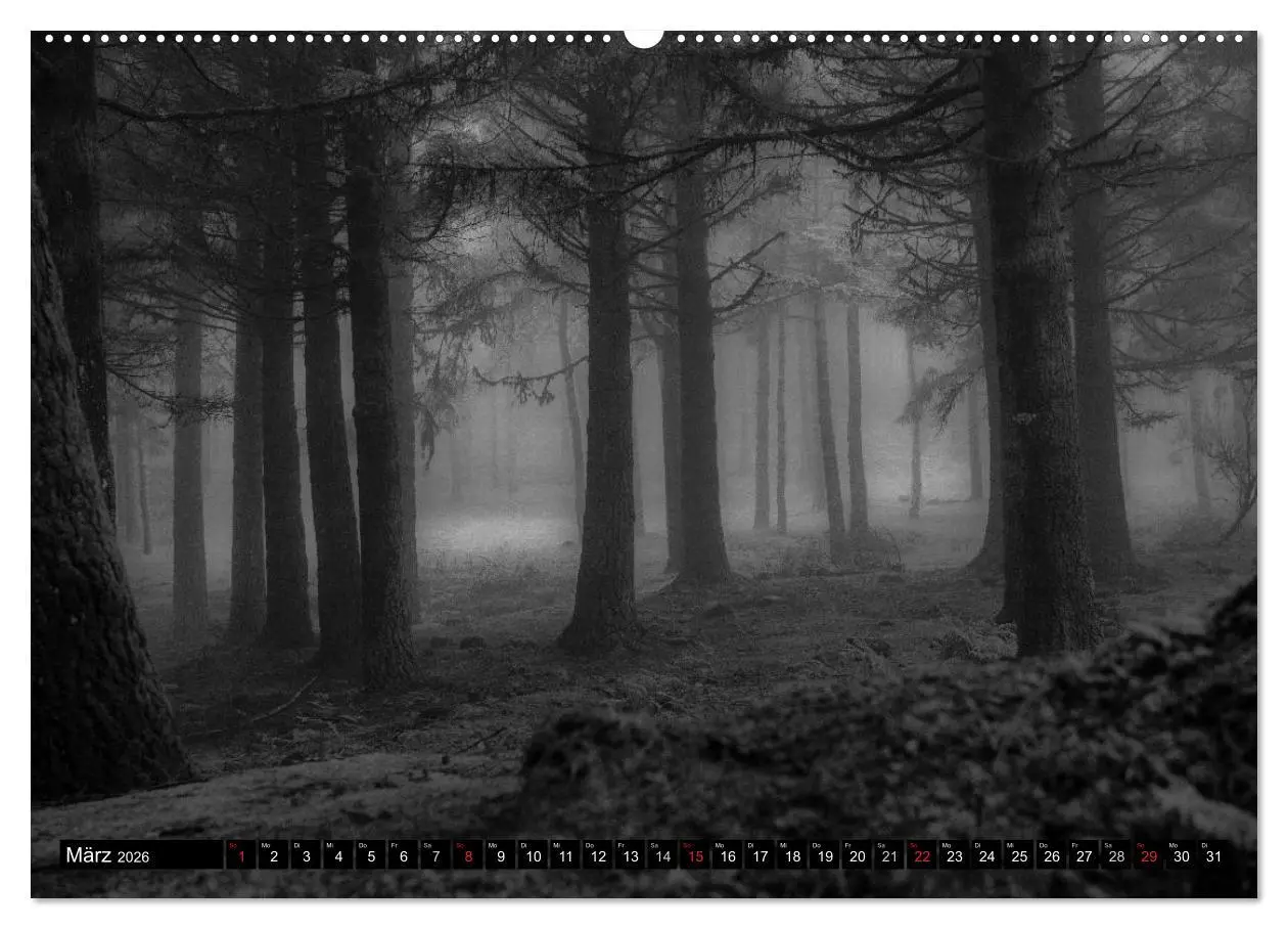 Bild: 9783516180312 | Stille Momente in Schwarz-Weiss (hochwertiger Premium Wandkalender...