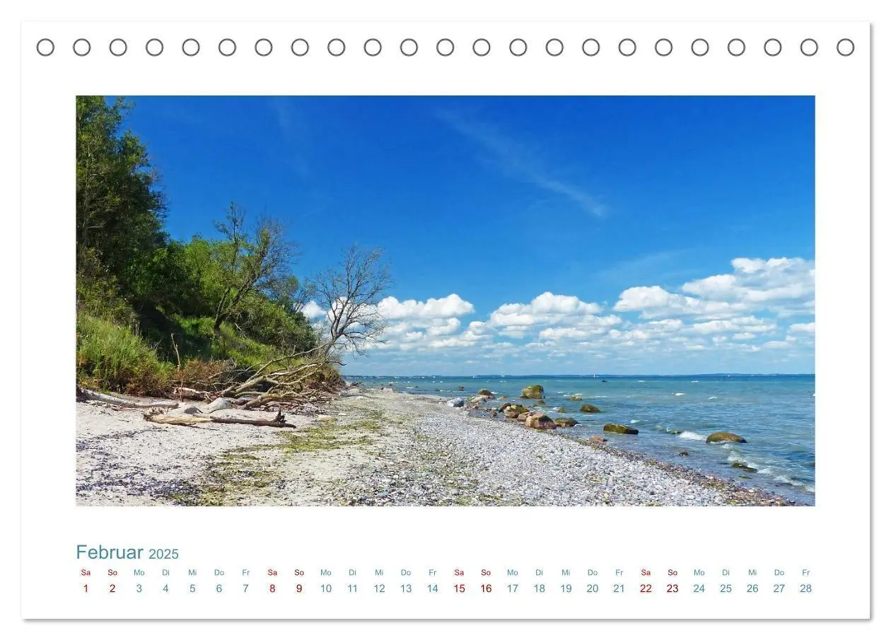 Bild: 9783435130412 | Norddeutsche Horizonte. Küsten, Wiesen, Moore (Tischkalender 2025...