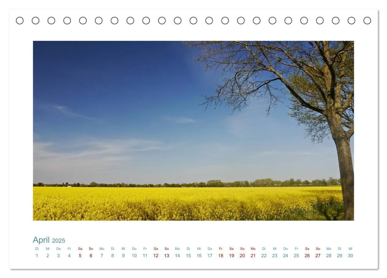 Bild: 9783435130412 | Norddeutsche Horizonte. Küsten, Wiesen, Moore (Tischkalender 2025...