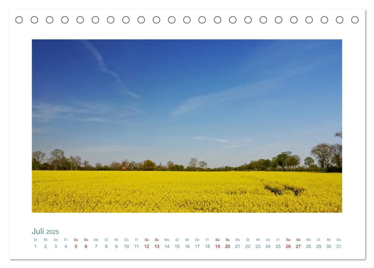 Bild: 9783435130412 | Norddeutsche Horizonte. Küsten, Wiesen, Moore (Tischkalender 2025...