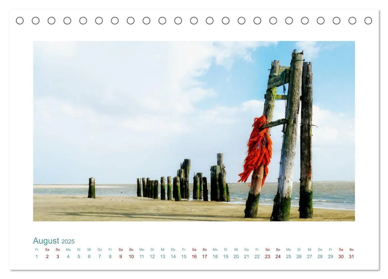 Bild: 9783435130412 | Norddeutsche Horizonte. Küsten, Wiesen, Moore (Tischkalender 2025...
