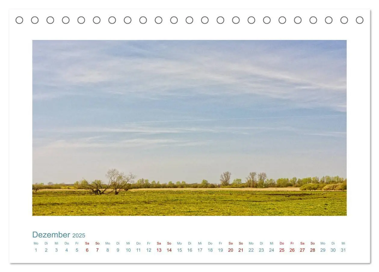 Bild: 9783435130412 | Norddeutsche Horizonte. Küsten, Wiesen, Moore (Tischkalender 2025...