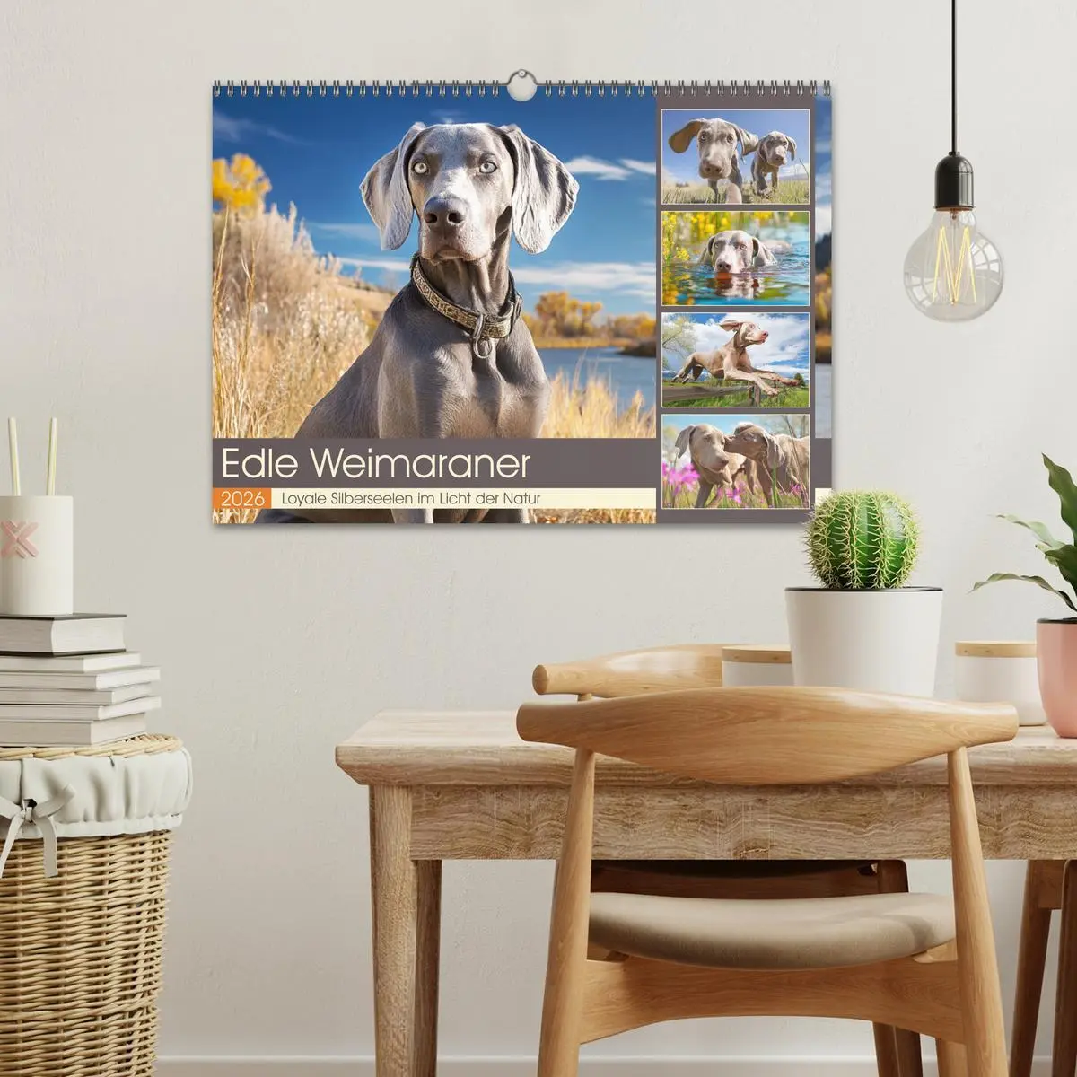 Bild: 9783457910412 | Edle Weimaraner. Loyale Silberseelen im Licht der Natur...