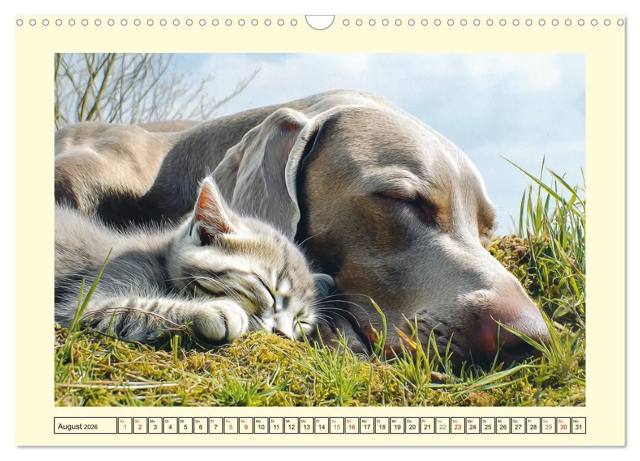 Bild: 9783457910412 | Edle Weimaraner. Loyale Silberseelen im Licht der Natur...