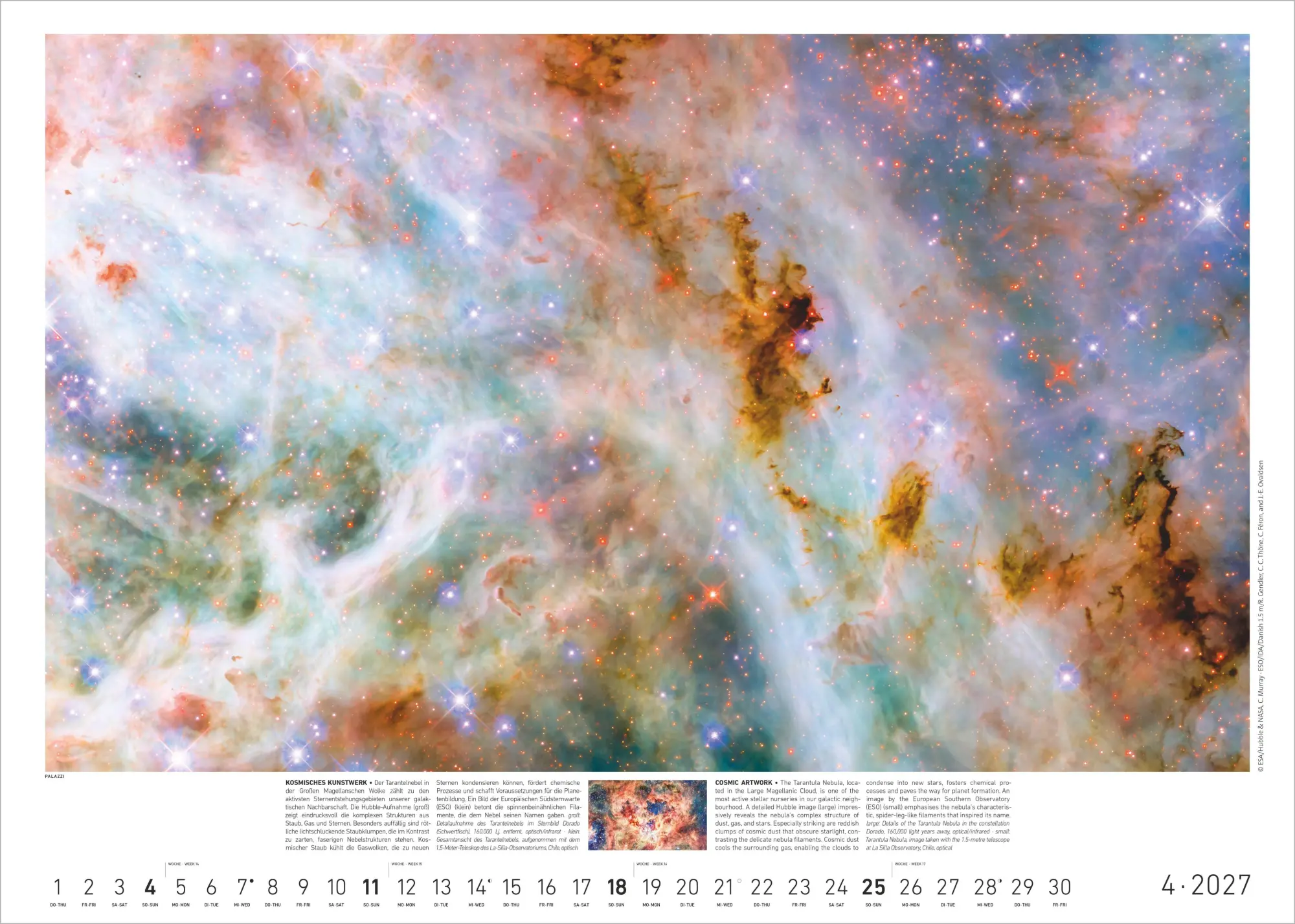 Bild: 4069095010512 | Sternzeit 2027 | Felicitas Mokler | Kalender | Palazzi (Kalender)