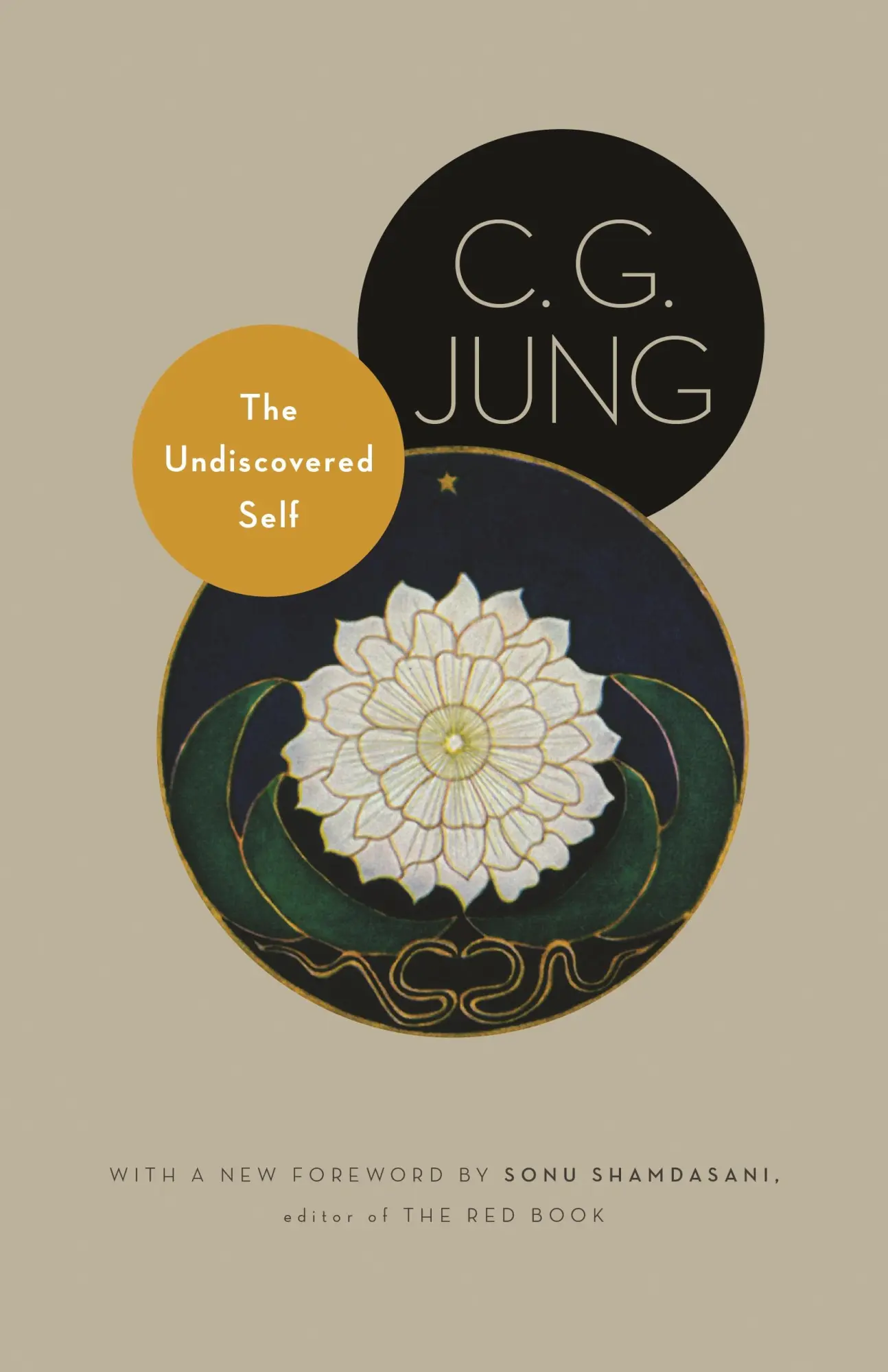 Cover: 9780691150512 | The Undiscovered Self | With Symbols and the Interpretation of Dreams