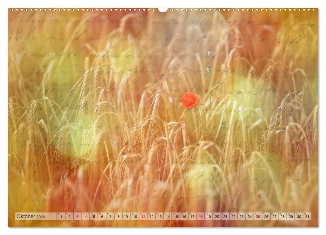 Bild: 9783516160512 | Vintage Nature - Romantische Naturaufnahmen (Wandkalender 2026 DIN...