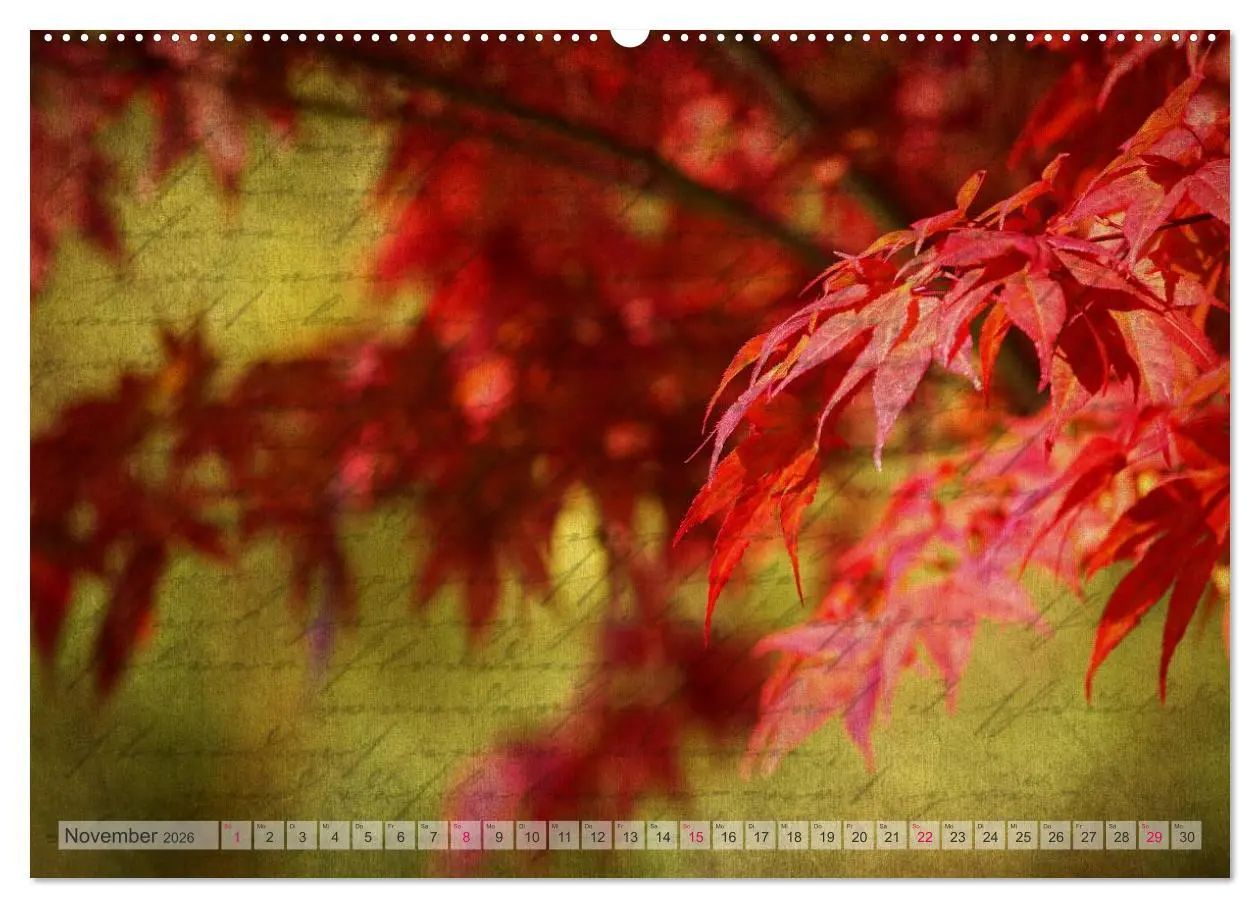 Bild: 9783516160512 | Vintage Nature - Romantische Naturaufnahmen (Wandkalender 2026 DIN...