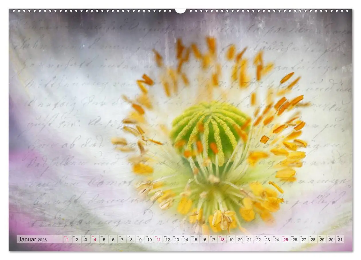 Bild: 9783516160512 | Vintage Nature - Romantische Naturaufnahmen (Wandkalender 2026 DIN...