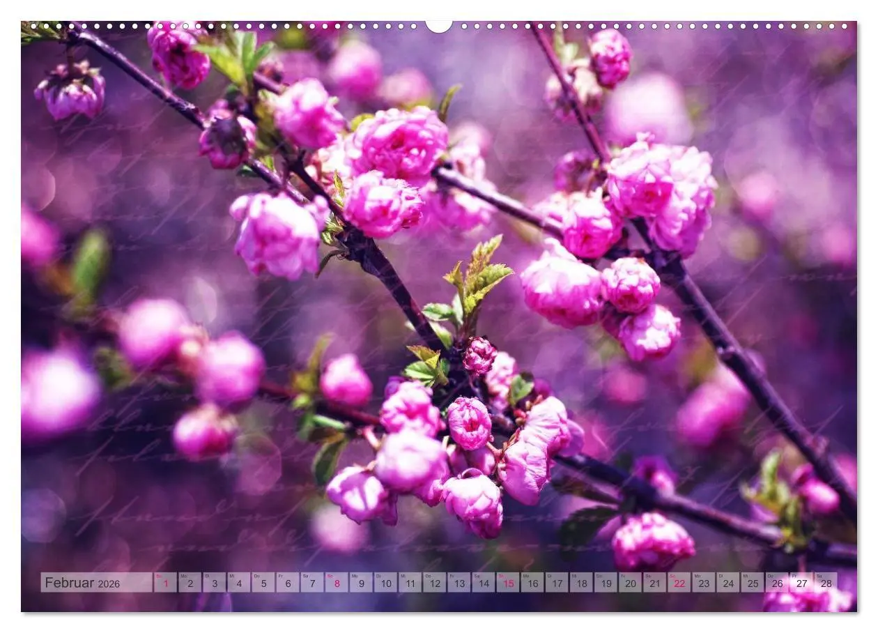 Bild: 9783516160512 | Vintage Nature - Romantische Naturaufnahmen (Wandkalender 2026 DIN...