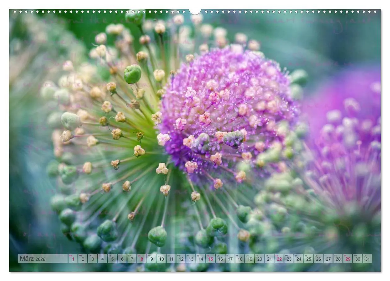 Bild: 9783516160512 | Vintage Nature - Romantische Naturaufnahmen (Wandkalender 2026 DIN...