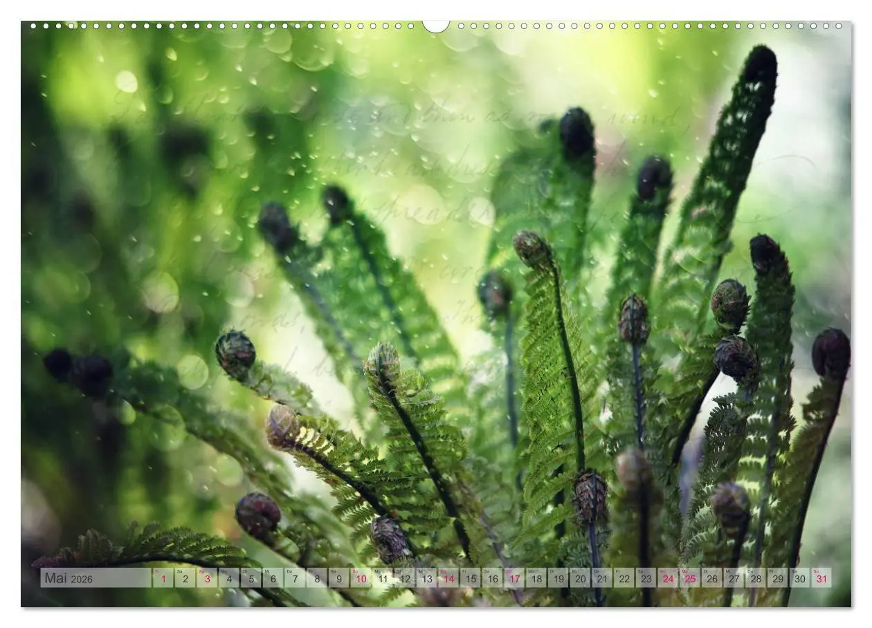Bild: 9783516160512 | Vintage Nature - Romantische Naturaufnahmen (Wandkalender 2026 DIN...