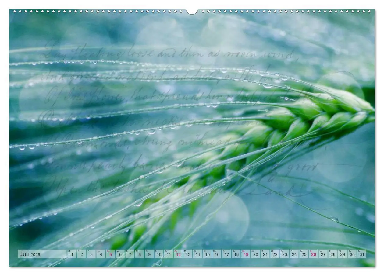 Bild: 9783516160512 | Vintage Nature - Romantische Naturaufnahmen (Wandkalender 2026 DIN...