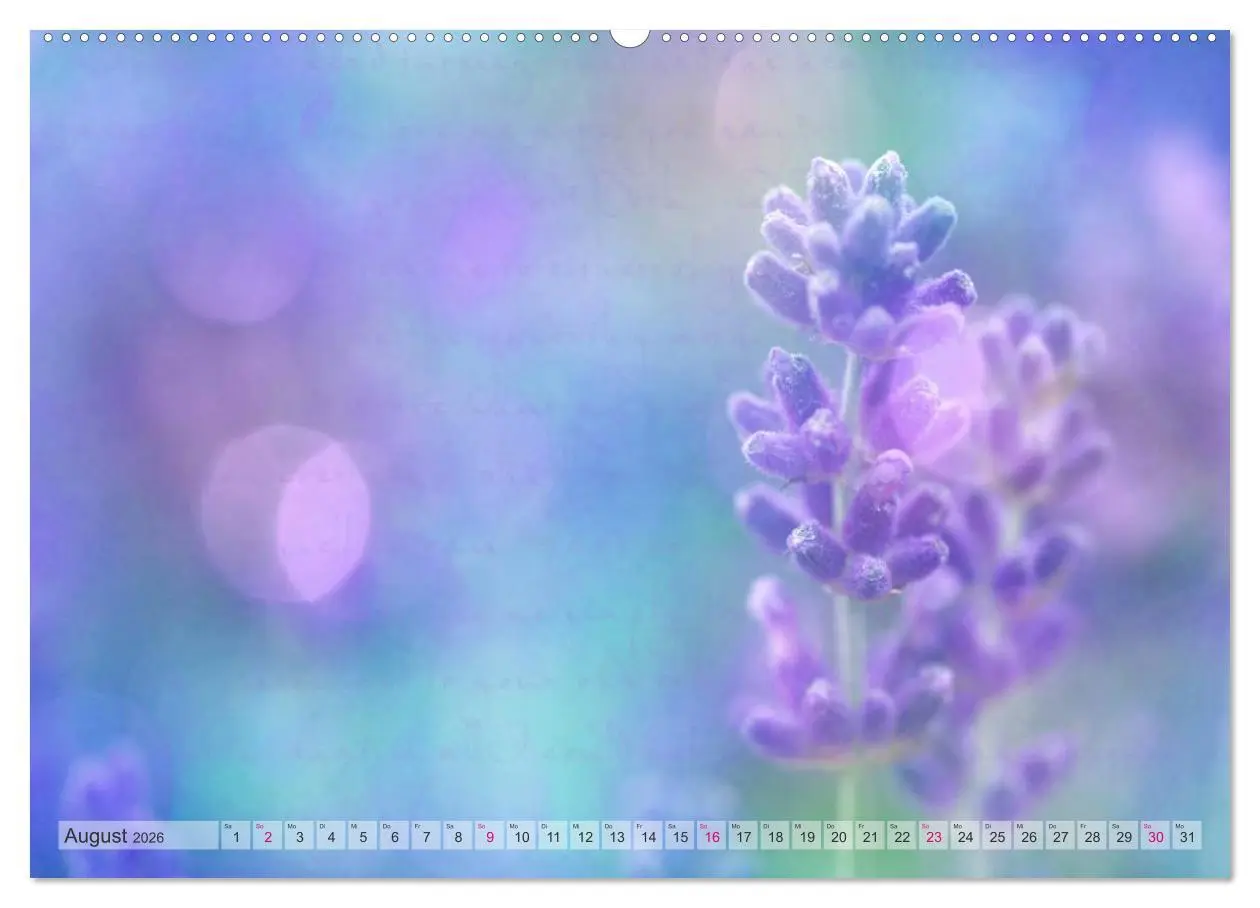 Bild: 9783516160512 | Vintage Nature - Romantische Naturaufnahmen (Wandkalender 2026 DIN...