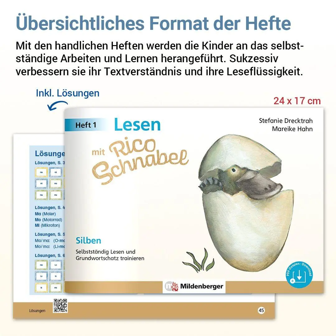 Bild: 9783619120512 | Lesen mit Rico Schnabel, Heft 1: Silben | Stefanie Drecktrah (u. a.)