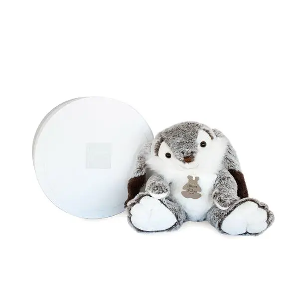 Cover: 3700349320612 | Hase Marius 30cm | Copains et compagnie Marius | 8902061 | DOUDOU