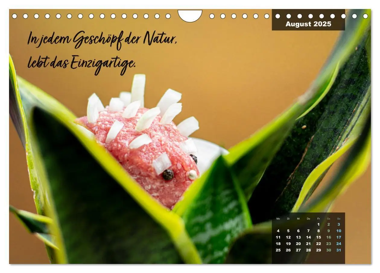 Bild: 9783435040612 | Mettkalender - Mettigel Edition (Wandkalender 2025 DIN A4 quer),...