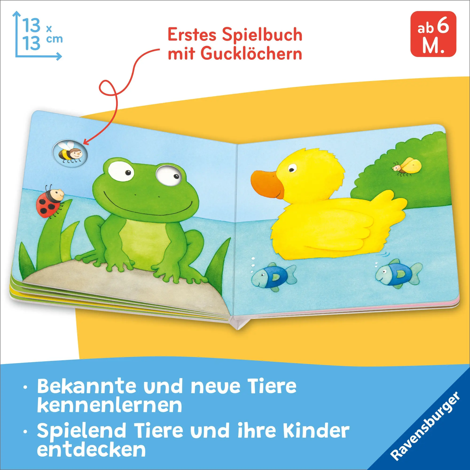Bild: 9783473420612 | Mein Gucklochbuch: Viele Tiere | Monika Neubacher-Fesser | Buch | 2026