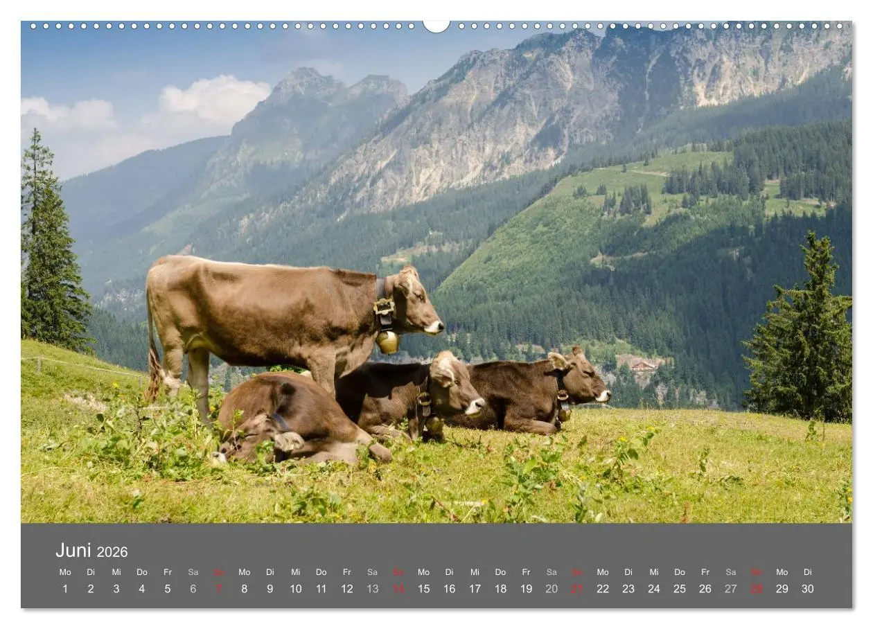 Bild: 9783516220612 | Tannheimer Tal (Wandkalender 2026 DIN A2 quer), CALVENDO...