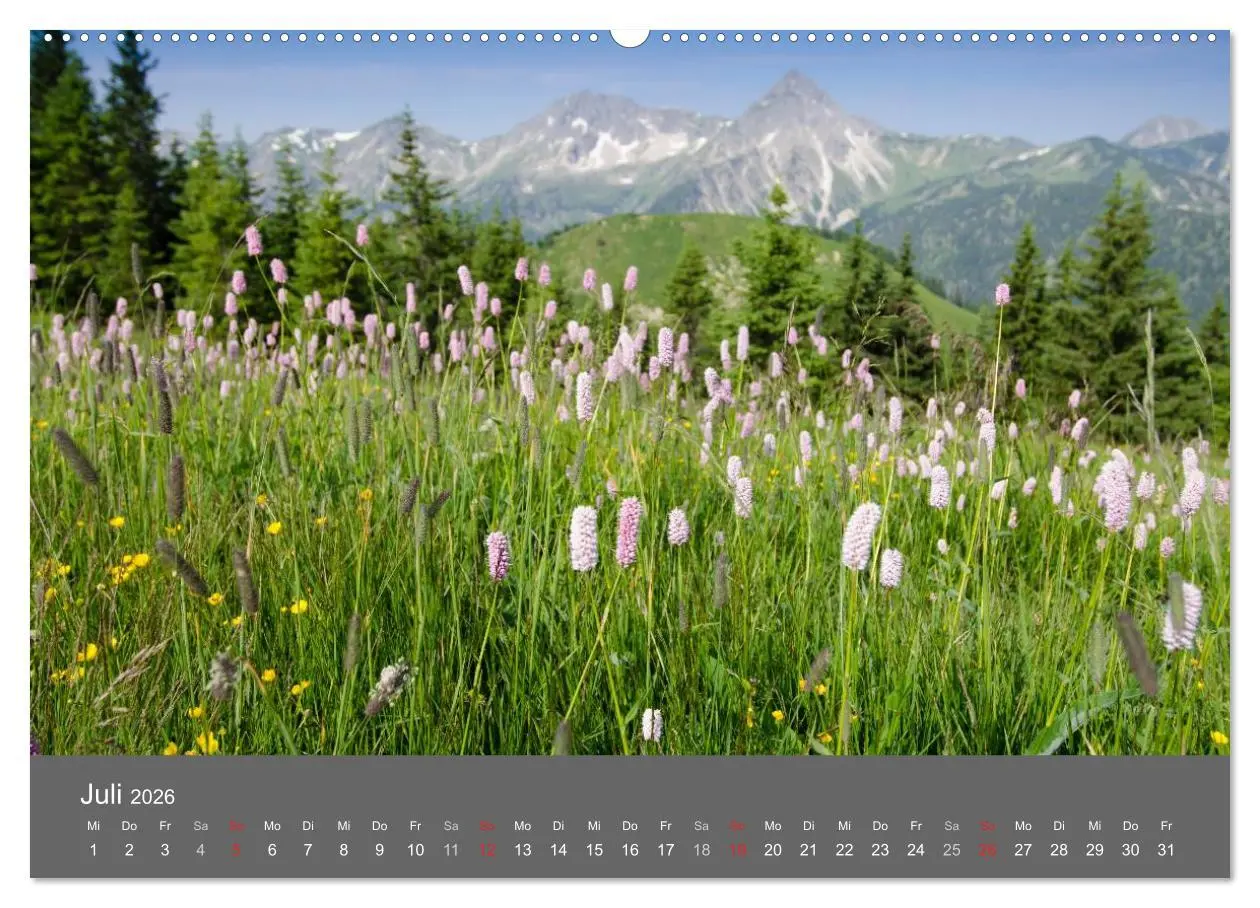 Bild: 9783516220612 | Tannheimer Tal (Wandkalender 2026 DIN A2 quer), CALVENDO...