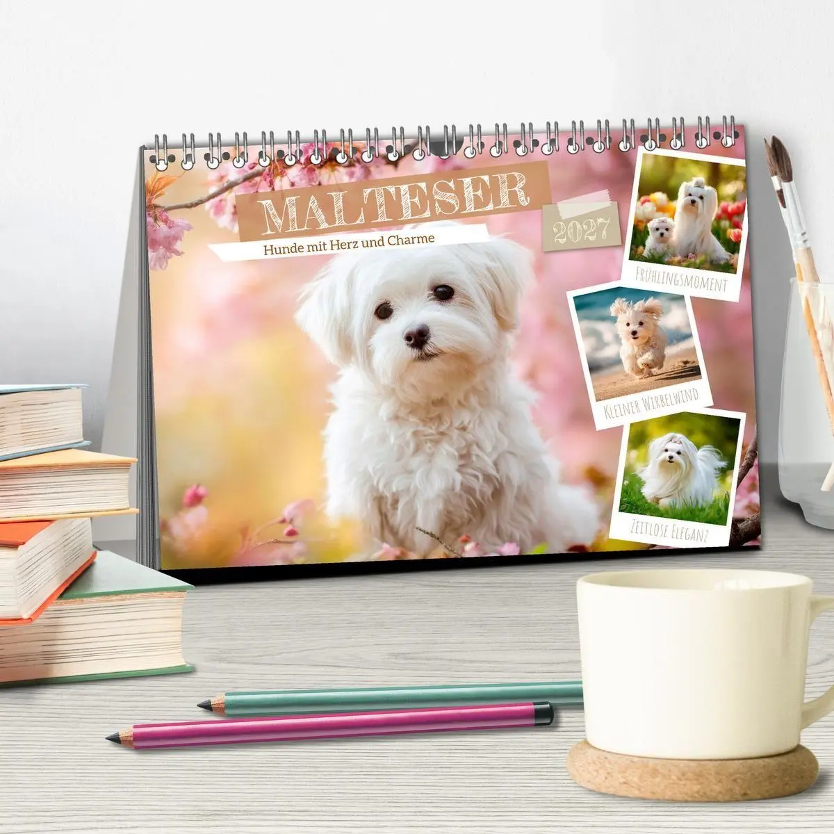 Bild: 9783594370612 | Malteser - Hunde mit Herz und Charme (Tischkalender 2027 DIN A5...