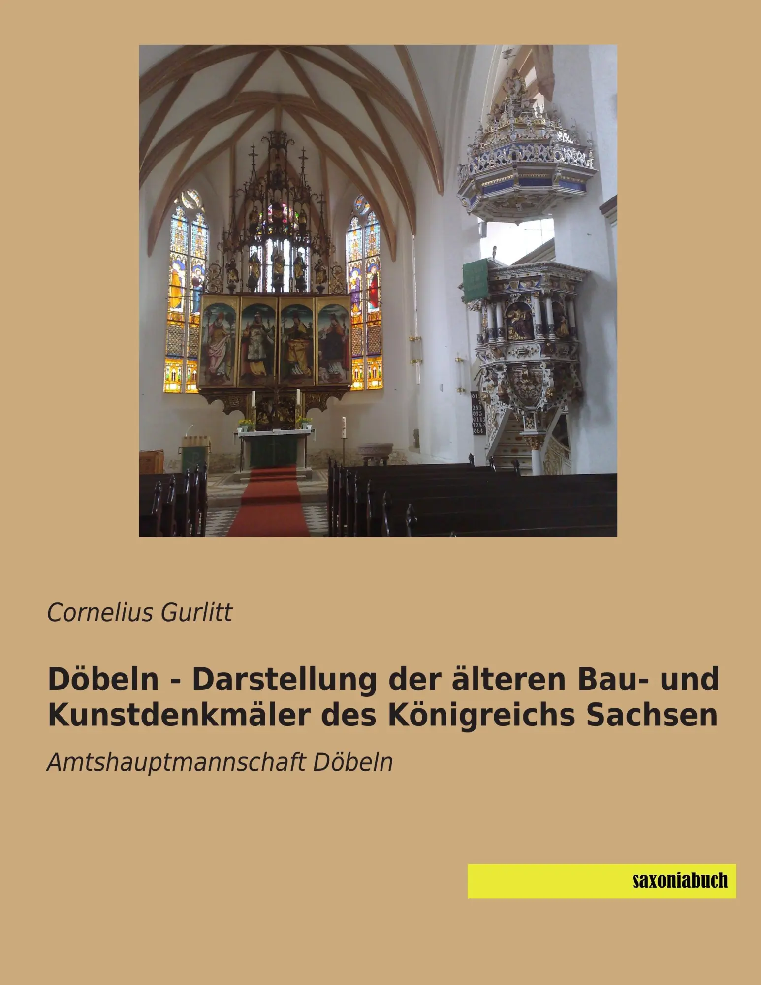 Cover: 9783957700612 | Döbeln - Darstellung der älteren Bau- und Kunstdenkmäler des...