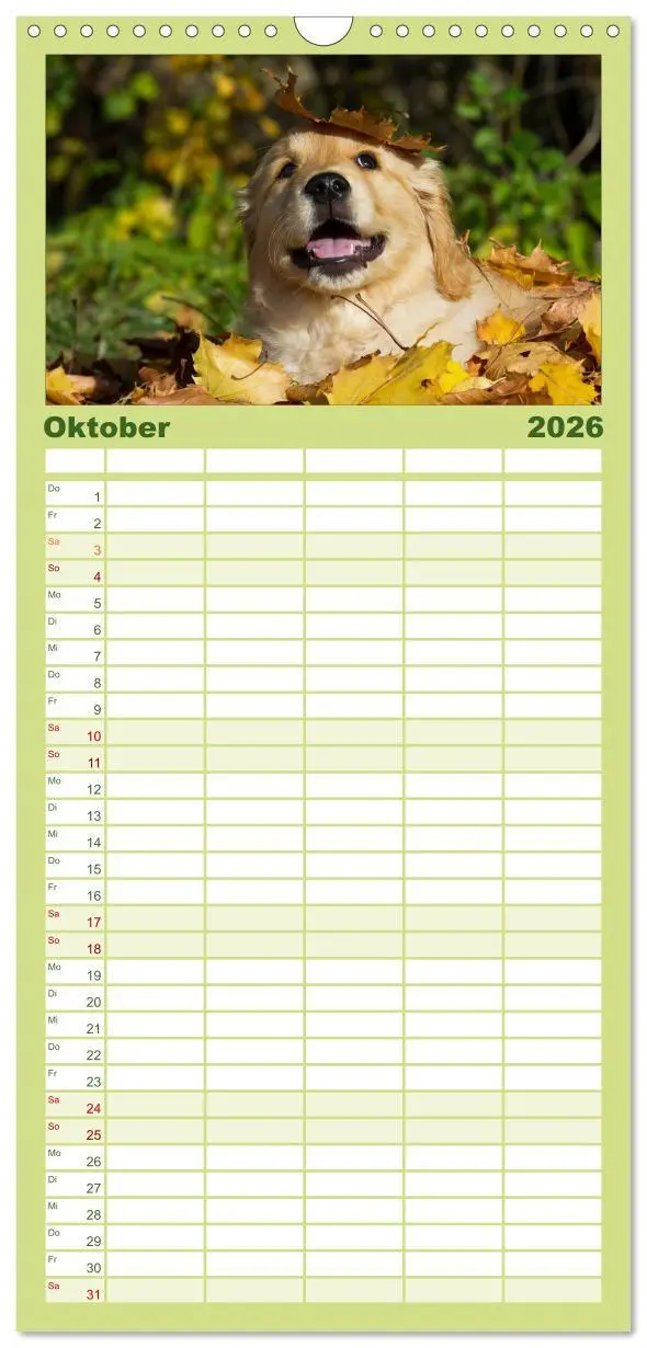 Bild: 9783516520712 | Familienplaner 2026 - Golden Retriever - Ein Herz auf 4 Pfoten mit...