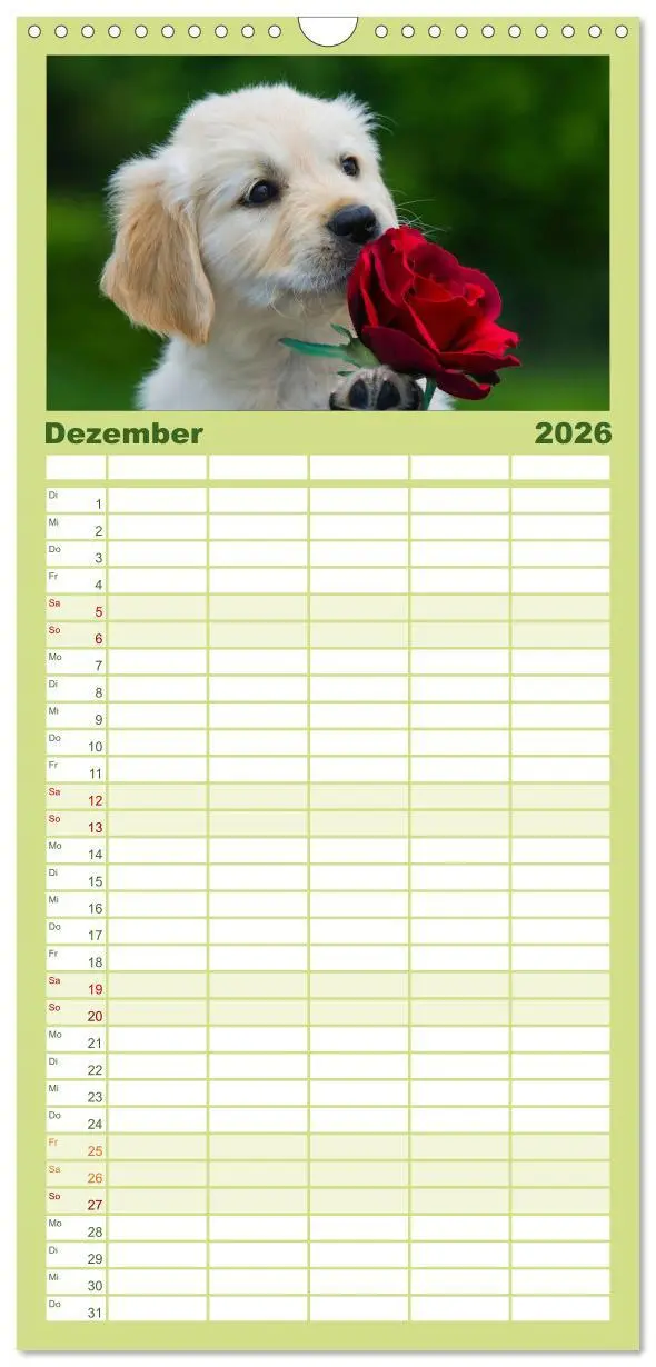Bild: 9783516520712 | Familienplaner 2026 - Golden Retriever - Ein Herz auf 4 Pfoten mit...