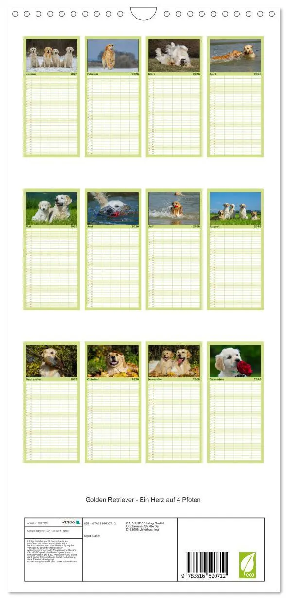 Bild: 9783516520712 | Familienplaner 2026 - Golden Retriever - Ein Herz auf 4 Pfoten mit...