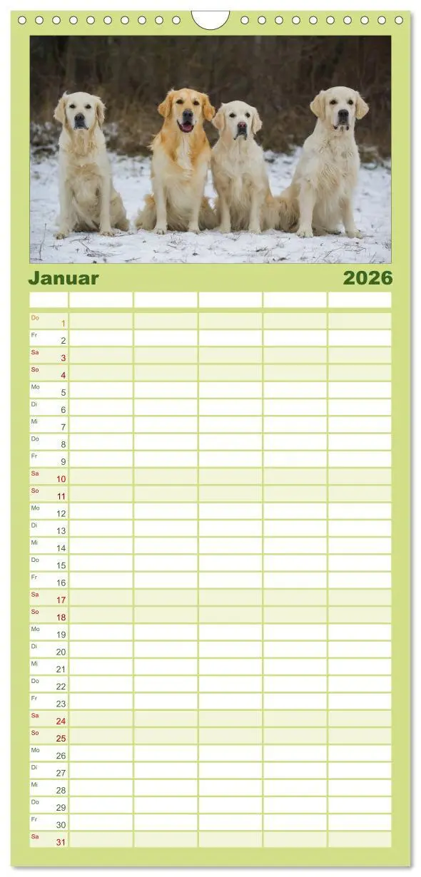 Bild: 9783516520712 | Familienplaner 2026 - Golden Retriever - Ein Herz auf 4 Pfoten mit...